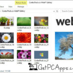 View WebP Image in Native Windows Image Viewer (WEBP Codec Free Download)