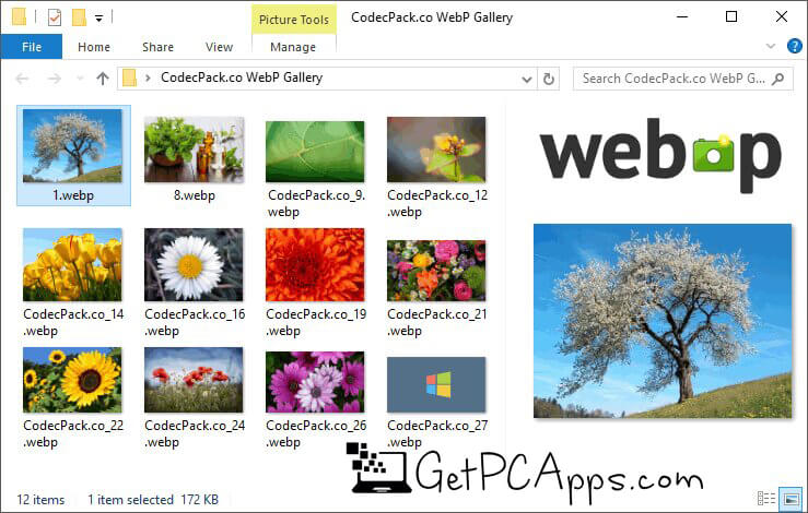 Open WebP Image in Windows | WEBP Codec Free Download