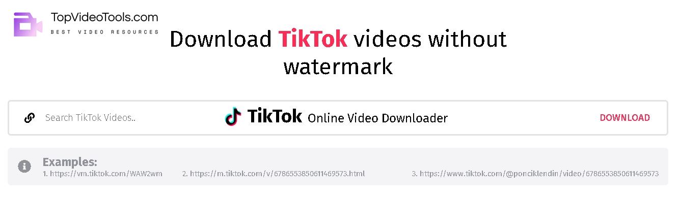 Best Free TikTok MP4 Video Downloader Online Tools